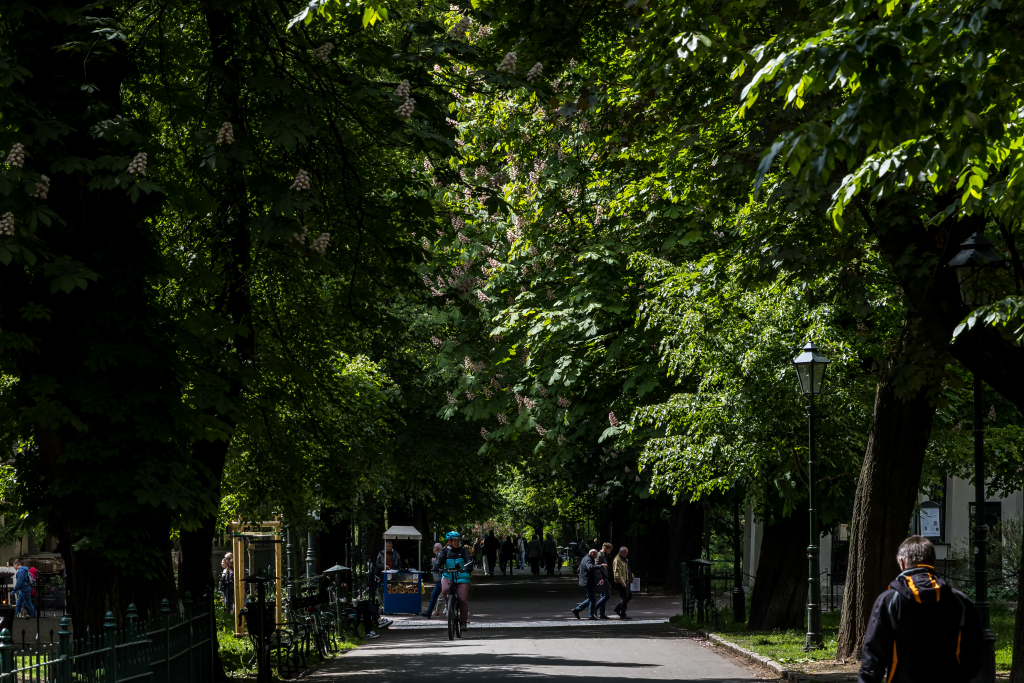 Projekt parku osiedlowego wszedł do realizacji